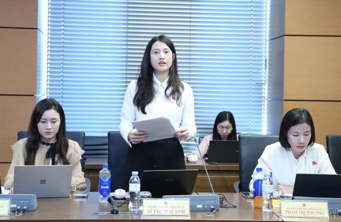 Đại biểu Sí Thị Mai Anh tham gia thảo luận tổ.