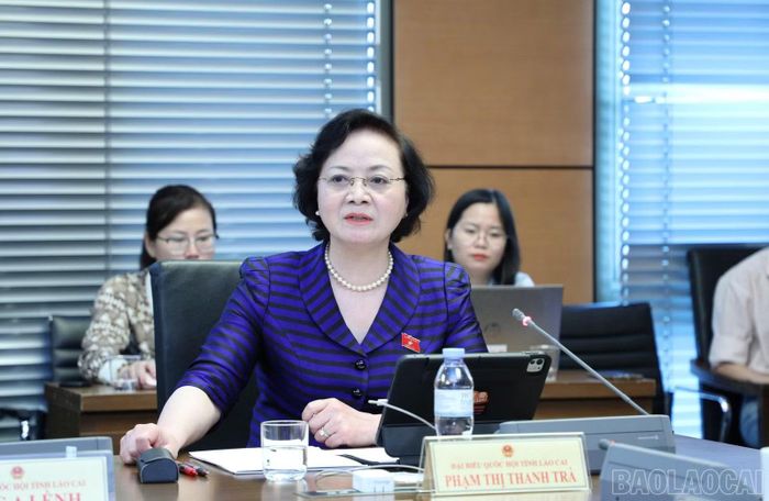 Phó Thủ tướng Chính phủ Phạm Thị Thanh Trà trao đổi tại phiên thảo luận.