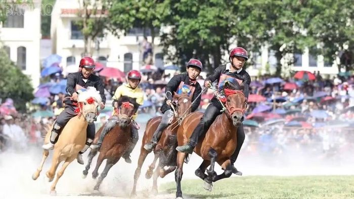 Giải đua ngựa truyền thống Bắc Hà được công nhận là Di sản văn hóa phi vật thể quốc gia.