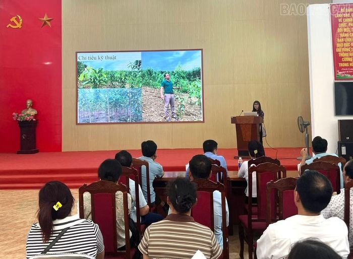 Đại diện Trung tâm Khuyến nông tỉnh Lào Cai báo cáo kết quả dự án.