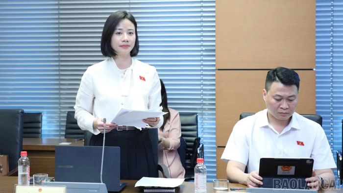 Đại biểu Phạm Thị Phương góp ý vào dự án Luật sửa đổi, bổ sung một số điều của Luật Thuế thu nhập doanh nghiệp, Luật Thuế sử dụng đất phi nông nghiệp, Luật Thuế thu nhập cá nhân.