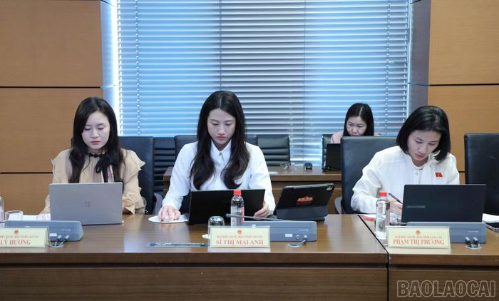Đại biểu Quốc hội tỉnh Lào Cai tại phiên thảo luận tổ
