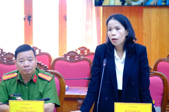 Phó Giám đốc Sở Nội vụ Châu Thị Đào phát biểu tại hội nghị