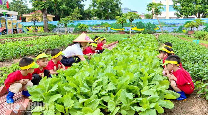 Tại Trường Mầm non Hoa Lư học sinh được khám phá những điều thú vị từ thiên nhiên ngay trong khuôn viên trường.