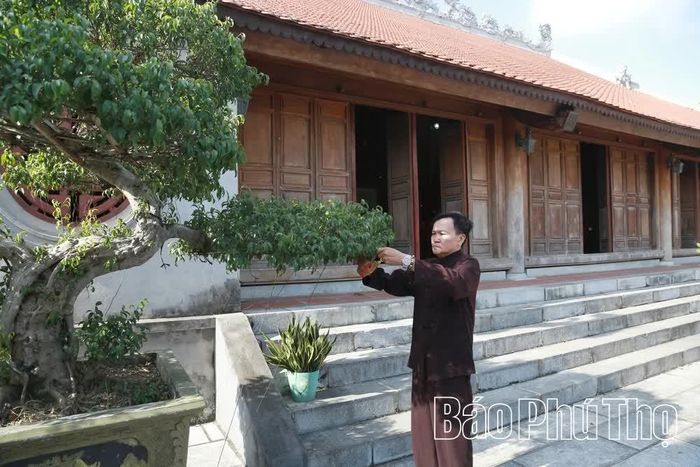 Cây cảnh trong khuôn viên đình được chăm sóc thường xuyên, góp phần tạo cảnh quan xanh, sạch, đẹp cho di tích.