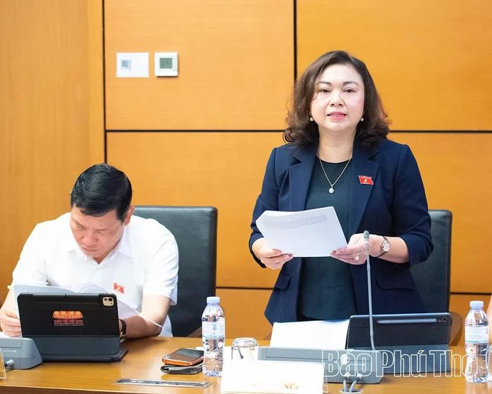 ĐBQH tỉnh Đặng Bích Ngọc thảo luận ở Tổ.