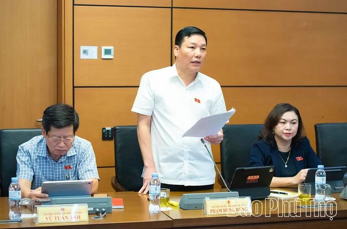 ĐBQH tỉnh Phạm Hùng Hưng thảo luận ở Tổ.
