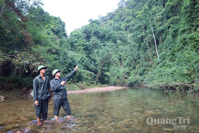 Cán bộ, nhân viên Trạm bảo vệ rừng Ba Rền thuộc Ban Quản lý rừng phòng hộ Nhật Lệ tuần tra rừng - Ảnh: V.M