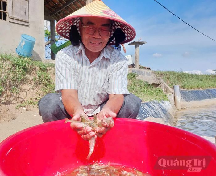 Nghề nuôi tôm đã góp phần đa dạng hóa hoạt động nuôi trồng thủy sản, tạo thêm nguồn thu cho người dân -  Ảnh: Đ.N