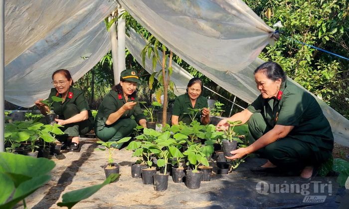 Phong trào nữ CCB giúp nhau phát triển kinh tế tại Hội CCB phường Đồng Sơn - Ảnh: T.L