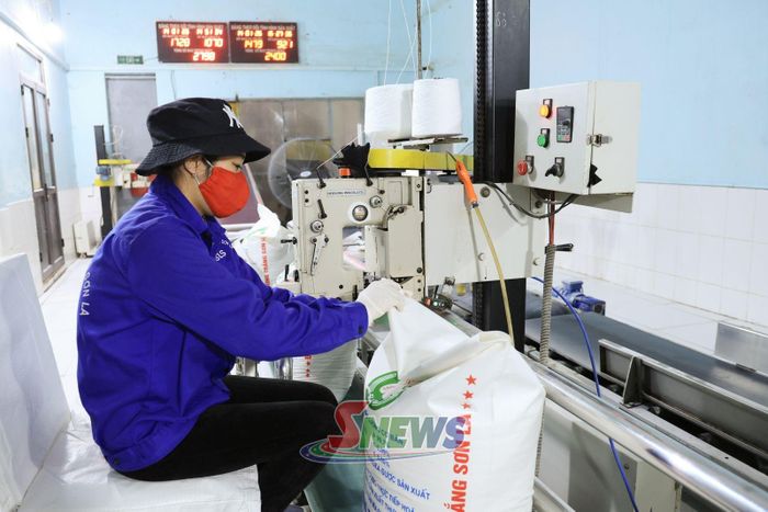 Công nhân Nhà máy Mía đường Sơn La trong ca sản xuất.