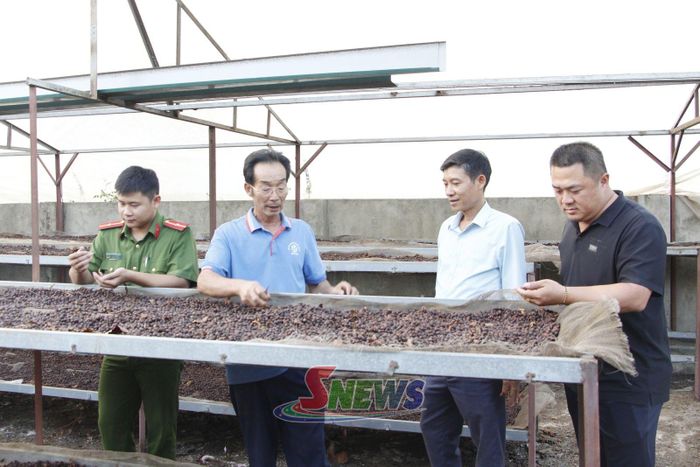 Lực lượng chức năng kiểm tra hoạt động sơ chế cà phê tại HTX cà phê Bích Thao, phường Chiềng Cơi.