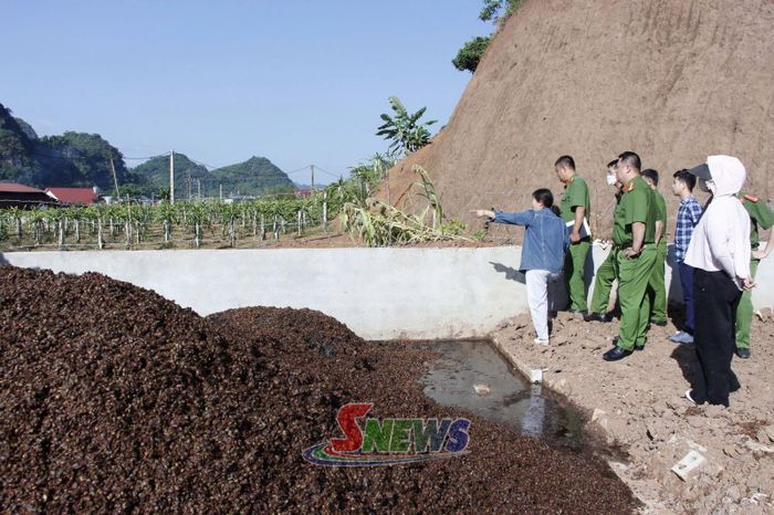 Đoàn công tác liên ngành các xã, phường kiểm tra hoạt động sơ chế cà phê tại phường Chiềng Sinh.