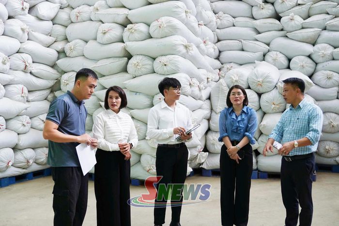 Đoàn kiểm tra công tác an toàn vệ sinh lao động tại Công ty Vinatea Mộc Châu.