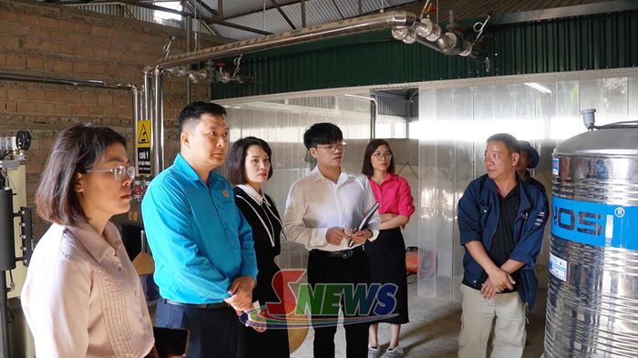 Kiểm tra công tác an toàn vệ sinh lao động tại Công ty TNHH Giống cây trồng Takii Việt Nam.