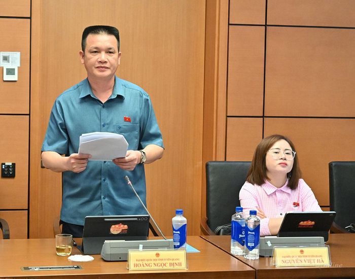 ĐBQH Hoàng Ngọc Định thảo luận.