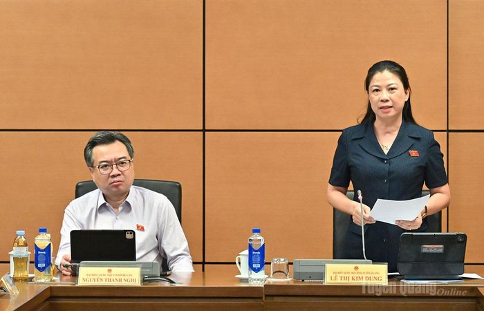 Đồng chí Lê Thị Kim Dung, Phó Bí thư Thường trực Tỉnh ủy, Trưởng đoàn ĐBQH tỉnh chủ trì phiên thảo thảo luận tổ.