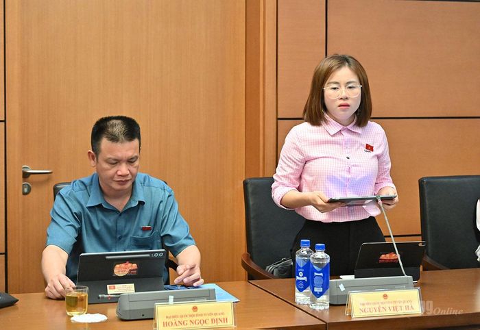 ĐBQH Nguyễn Việt Hà phát biểu ý kiến.
