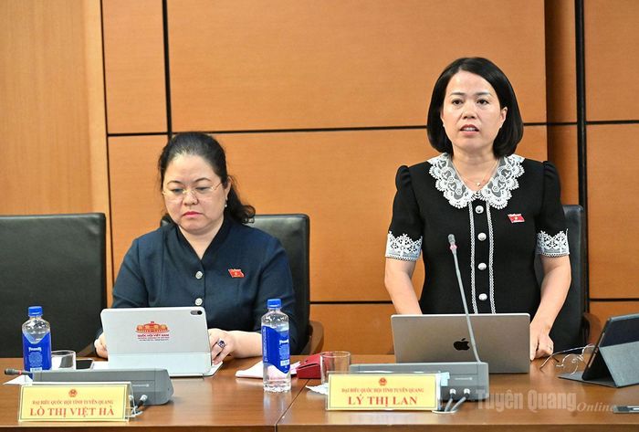 ĐBQH Lý Thị Lan phát biểu ý kiến.