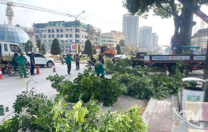 Công ty CP Môi trường và Công trình đô thị Thái Nguyên thực hiện cắt tải cây xanh tại khu vực Quảng trường Võ Nguyên Giáp.