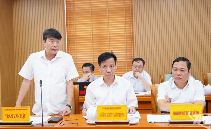 Đồng chí Phó Chủ tịch UBND tỉnh Trần Văn Hậu phát biểu tại Hội nghị.