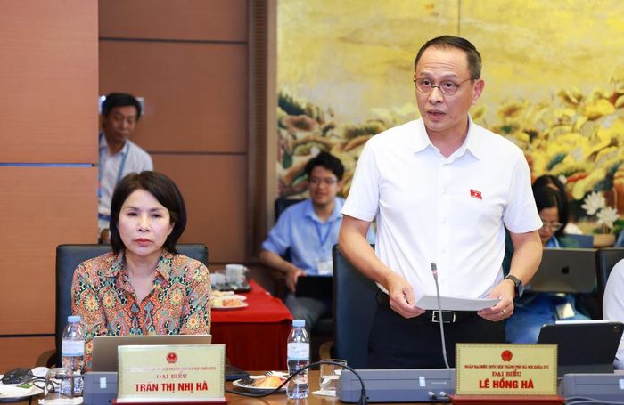 Đại biểu Lê Hồng Hà phát biểu tại phiên thảo luận ở Tổ 1. (Ảnh: Văn Tuyến)
