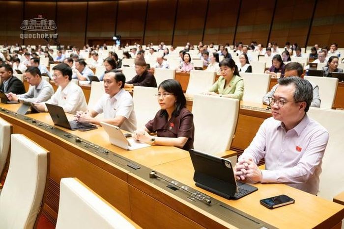  Các đại biểu tham dự phiên họp. 