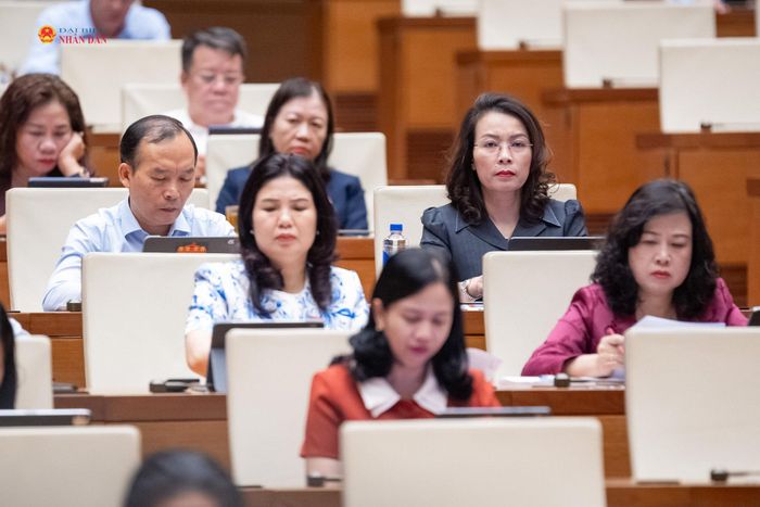 Các đại biểu tham dự phiên họp. Ảnh: Phạm Thắng