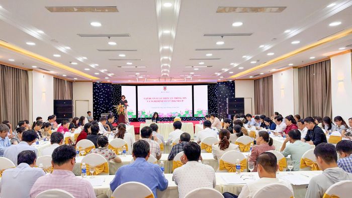 Quang cảnh hội nghị tập huấn tại TP. Đà Nẵng