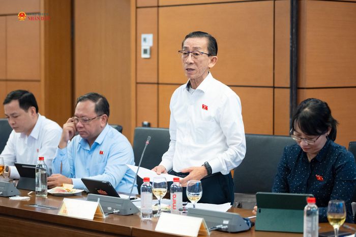 ĐBQH Trần Hoàng Ngân (TP. Hồ Chí Minh) phát biểu