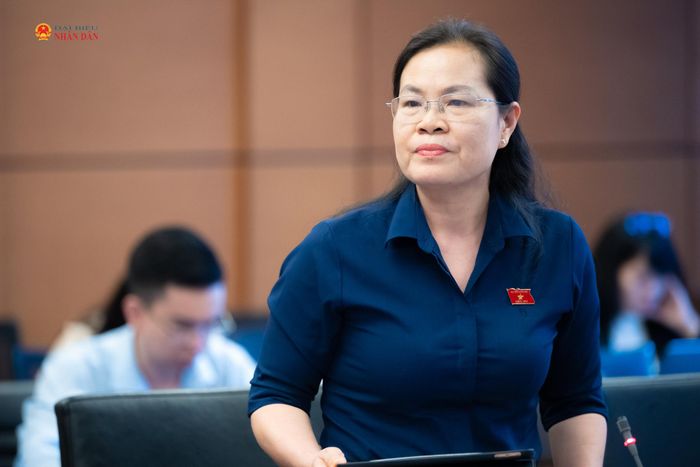 ĐBQH Nguyễn Thị Hồng Hạnh (TP. Hồ Chí Minh) phát biểu