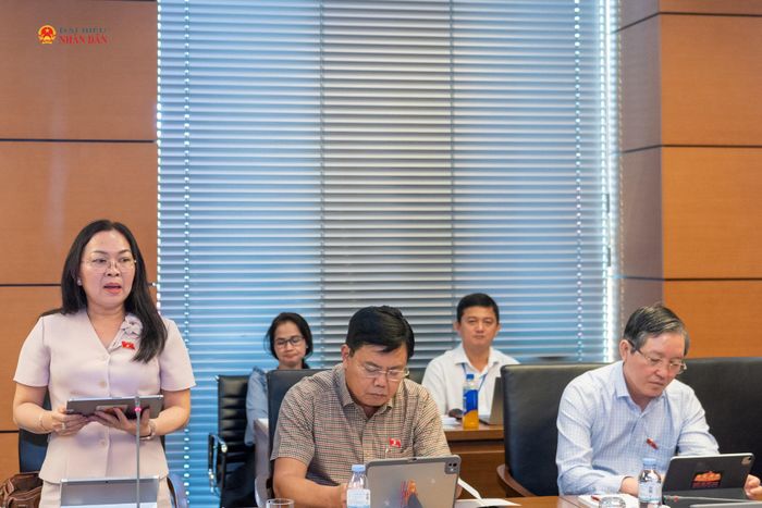 ĐBQH Lý Anh Thư (An Giang) phát biểu tại phiên thảo luận tổ. Ảnh: Mạnh Hưng