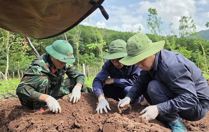 Lực lượng quy tập cẩn trọng tìm kiếm hài các phần của hài cốt tại khu vực rừng tràm. Ảnh: Bộ CHQS tỉnh Quảng Trị
