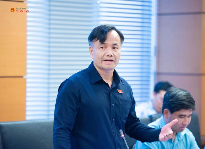 ĐBQH Trần Hoài Nam (Cà Mau) phát biểu ý kiến. Ảnh: Xuân Quý