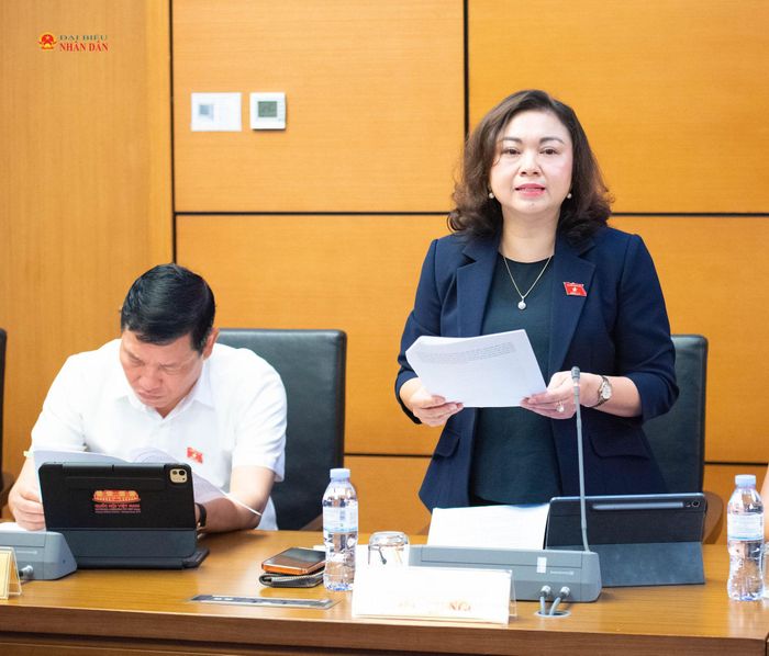 ĐBQH Đặng Bích Ngọc (Phú Thọ) phát biểu. Ảnh: Xuân Quý