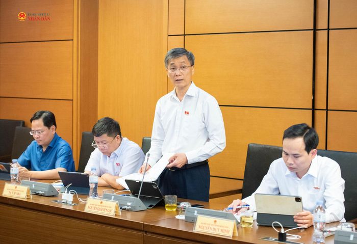 ĐBQH Nguyễn Khánh Ngọc (TP. Đà Nẵng) phát biểu. Ảnh: Xuân Quý