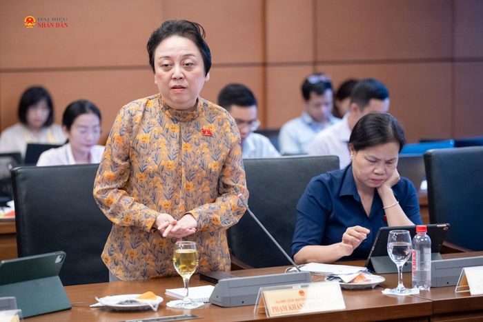 ĐBQH Phạm Khánh Phong Lan (TP. Hồ Chí Minh) phát biểu thảo luận tại Tổ 2