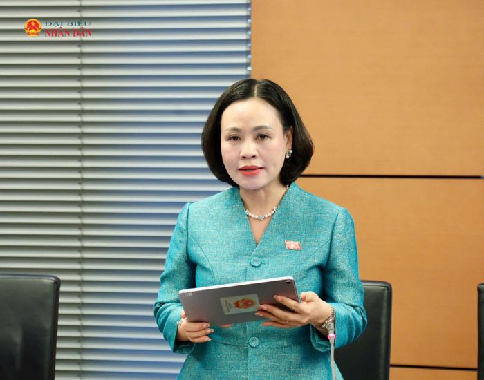 ĐBQH Trần Thị Hồng Thanh (Ninh Bình) phát biểu