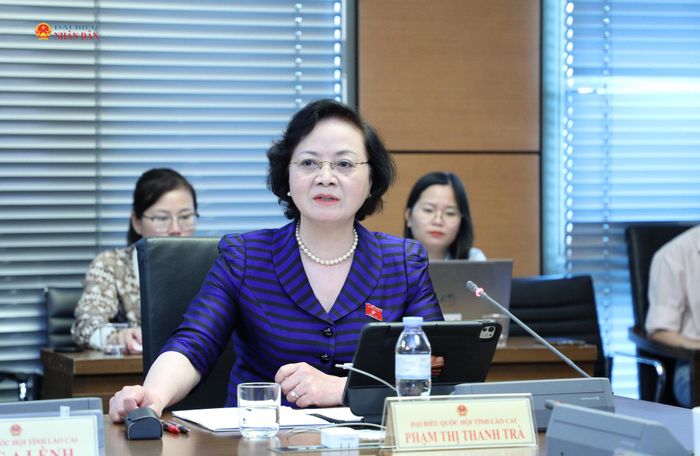 Phó Thủ tướng Chính phủ Phạm Thị Thanh Trà phát biểu tại phiên thảo luận