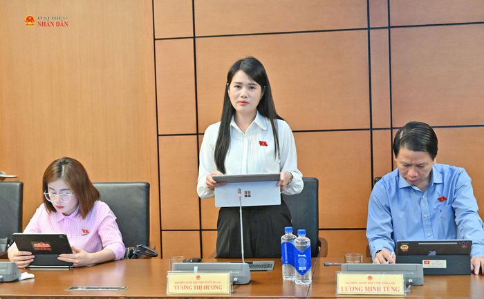 ĐBQH Vương Thị Hương (Tuyên Quang) phát biểu