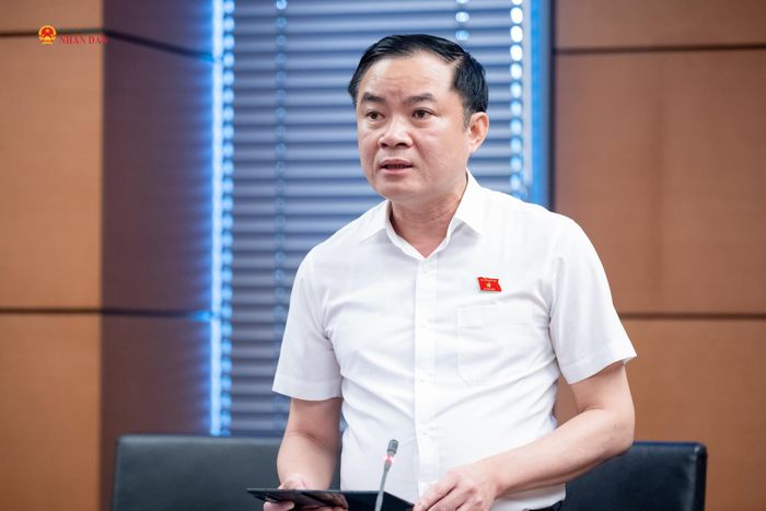 ĐBQH Lê Ngọc Sơn (TP. Hồ Chí Minh) phát biểu thảo luận tại Tổ 2