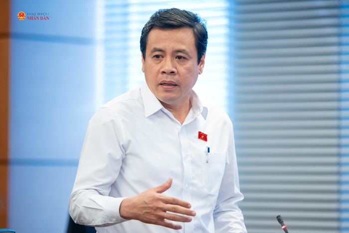 ĐBQH Trần Anh Tuấn (TP. Hồ Chí Minh) phát biểu thảo luận tại Tổ 2