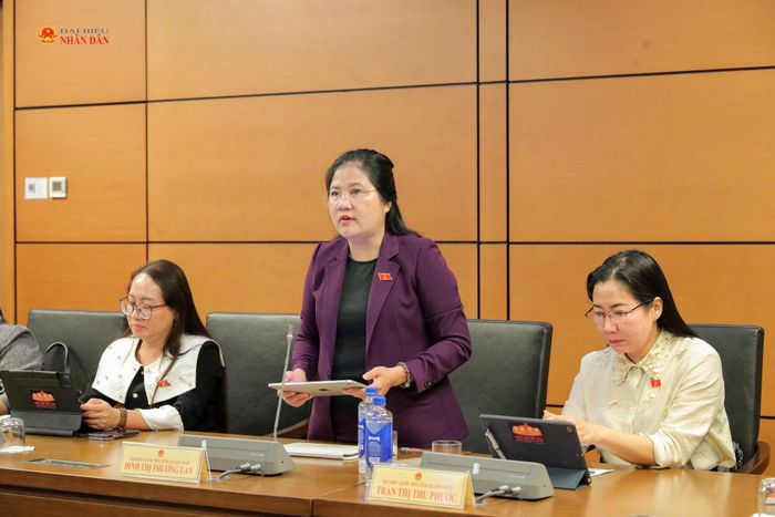 ĐBQH Đinh Thị Phương Lan (Quảng Ngãi) phát biểu