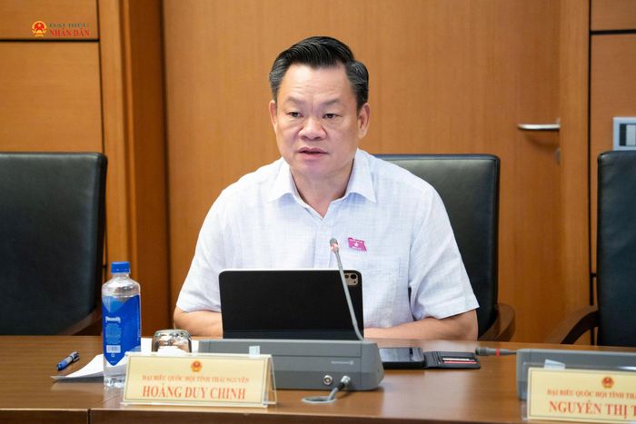 ĐBQH Hoàng Duy Chinh (Thái Nguyên) phát biểu