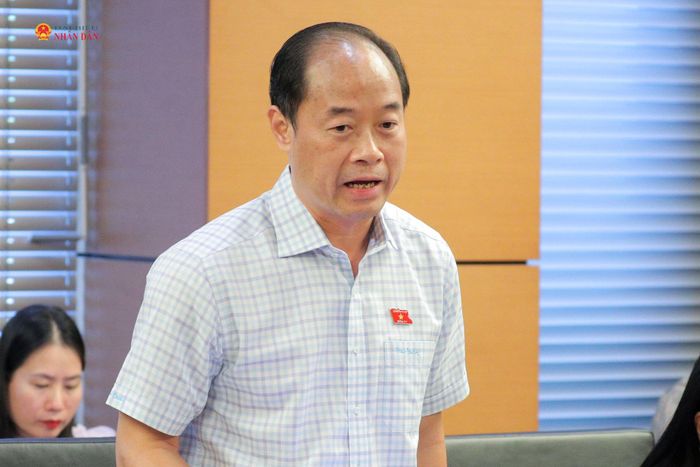 ĐBQH Bùi Mạnh Cường (Khánh Hòa) phát biểu