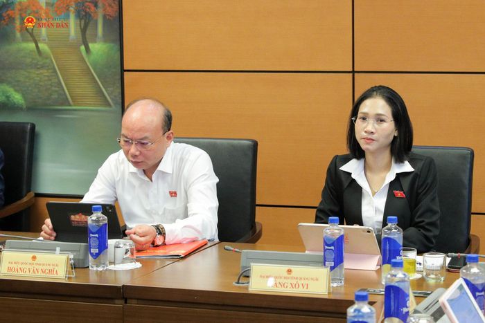 Các ĐBQH tỉnh Quảng Ngãi dự phiên họp