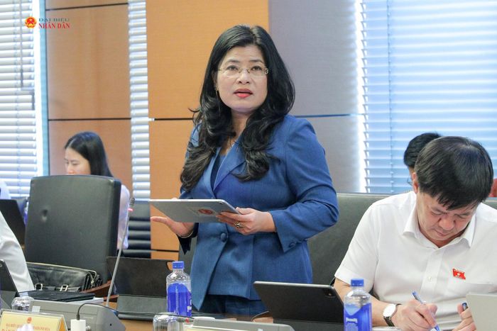 ĐBQH Đàng Thị Mỹ Hương (Khánh Hòa) phát biểu