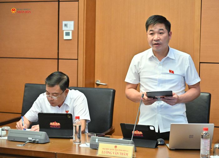 ĐBQH Lường Văn Thâm (Sơn La) phát biểu. Ảnh: Quang Khánh