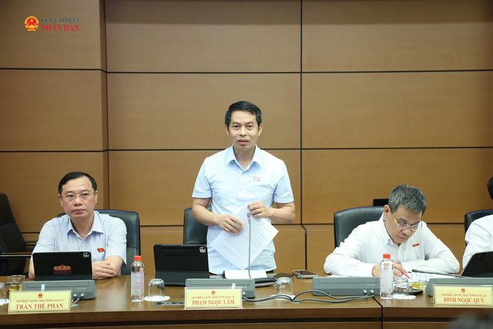 ĐBQH Phạm Ngọc Lâm (Gia Lai) phát biểu thảo luận tổ. Ảnh: An Nhiên