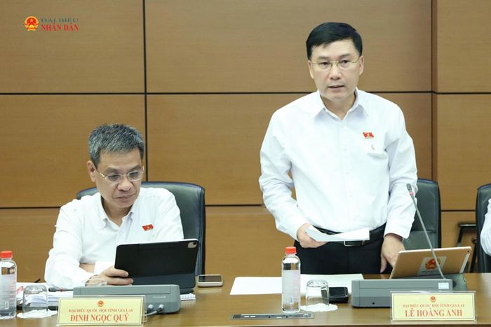 ĐBQH Lê Hoàng Anh (Gia Lai) phát biểu